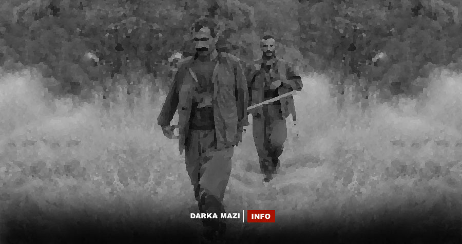 Ji ber pirsgirêkên navxweyîî 2 kadroyên PKK’ê xwe kuştin
