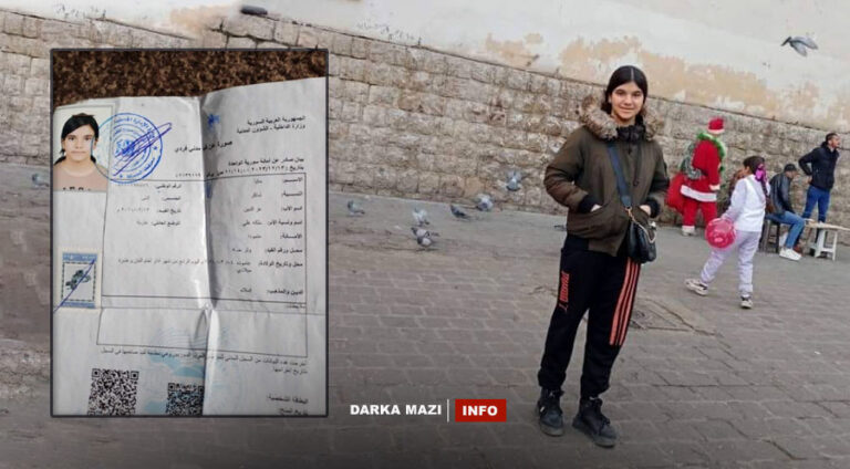 Çeteyên bi navê "Ciwanên Şoreşger" zarokeke 13 salî li Amûdê revand