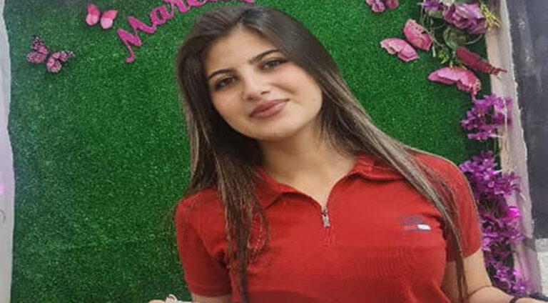 Ciwanên Şoreşger li taxa Şêx Meqsûd zarokeke din jî revand