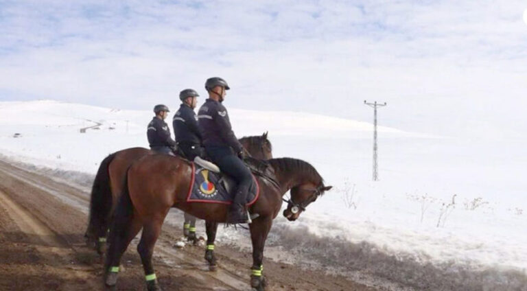 Li Wanê serdema leşkirên siwarî dest pê kir