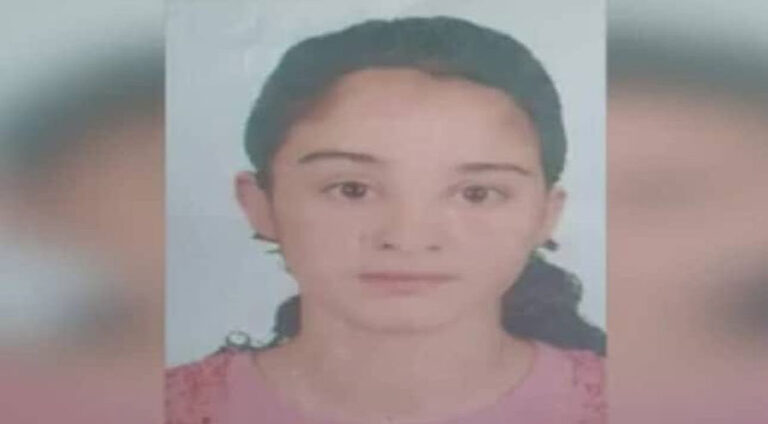 Çeteyên bi navê “Ciwanên Şoreşger” yên ser bi PKK’ê ve zarokeke din revand