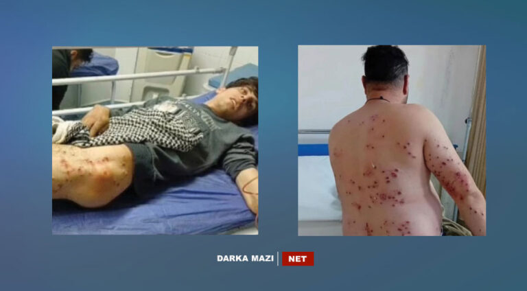 10 kolberên kurd ji aliyê hêzên Îranê ve hatin birîndarkirin