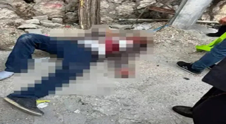 Li Diyarbekirê di navbera du malbatan de şerê çekdarî derket