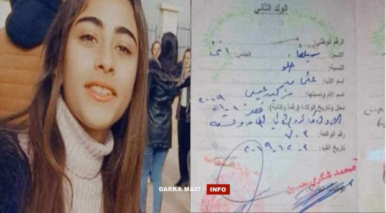 Çeteyên PKK’ê “Ciwanên Şoreşger” Sîlvaya biçûk revand