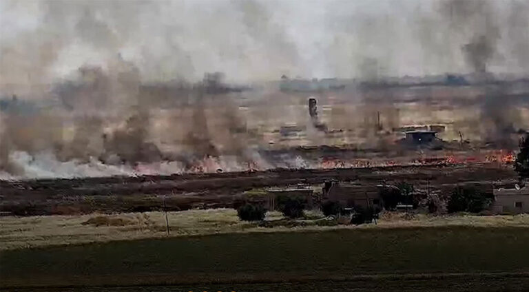 Bi sedema êrişa Tirkiyê li Minbic û Kobanê Berhemên çandiniyê şewitîn