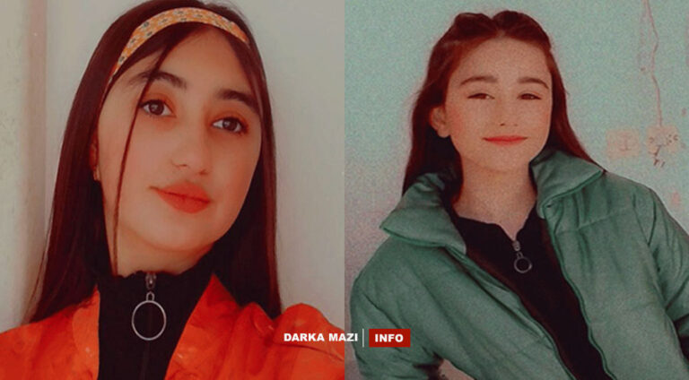 Du keçên zarok ji aliyê Ciwanên Şoreşger ve hatin revandin