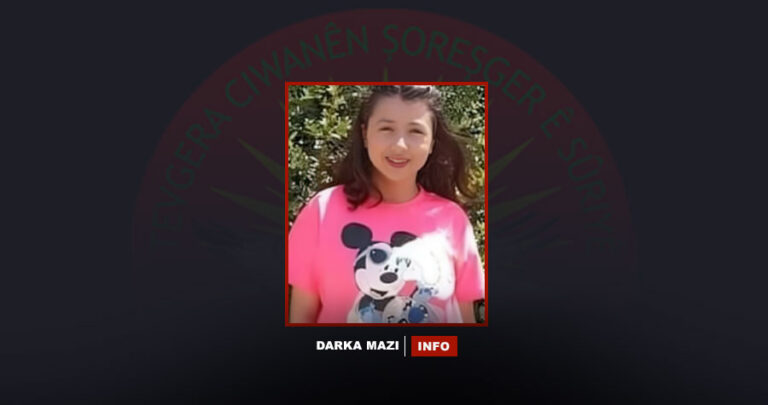 Çeteyên PKK’ê “Ciwanên Şoreşger” Zarokeke 14 salî ji bajarê Helebê revand