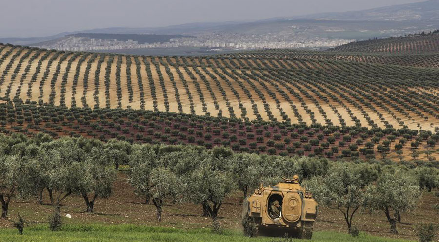 Çeteyên Tirkiyê 3 dolar weke bac li ser her darzeytûneka Efrînê sepandin