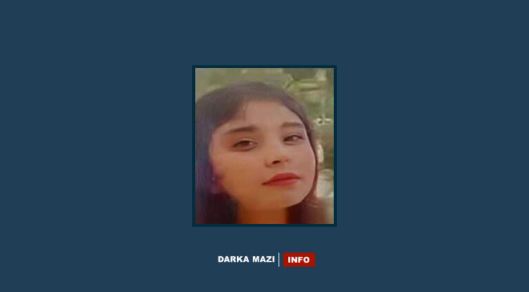 Çeteyên PKK’ê "Ciwanên Şoreşger" zarokek ji Til Refetê revand