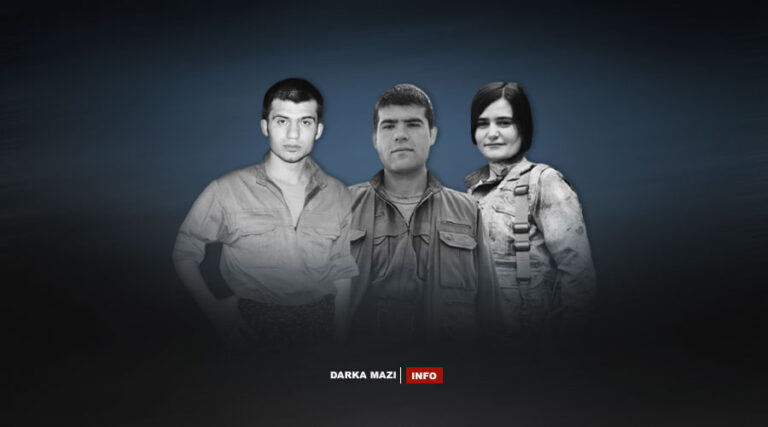 3-gerila-zap-cileya-2025-net