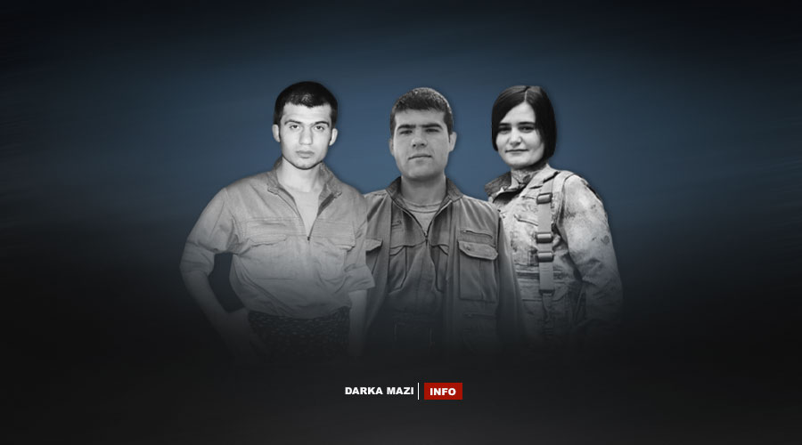 3-gerila-zap-cileya-2025-net