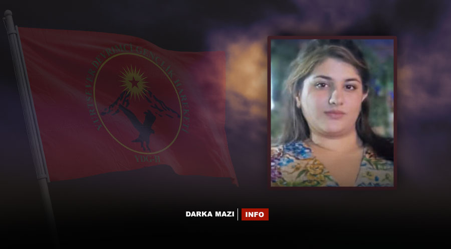 Çeteyên PKK’ê "Ciwanên Şoreşger" keçeke din ji Kobaniyê revand