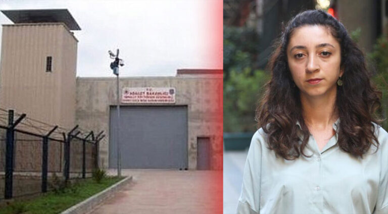 Raziye Oztürk: Ocalan DEMê rexne dike