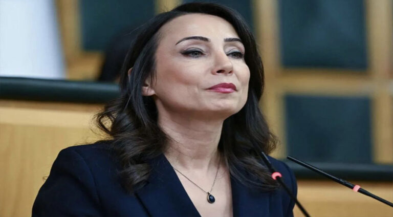 DEM Partî Banga Bahçelî ya ji bo serdana Îmraliyê bi erênî pêşwazî dike