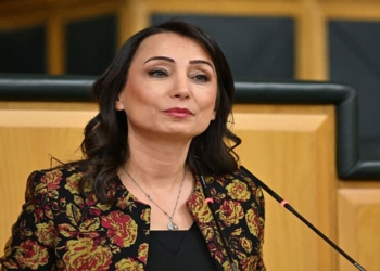 Hatîmogullarî: Çareseriya pirsa Kurdan erkekê dîrokî yê hemî partiyan e
