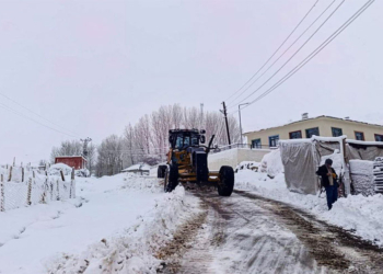 Li parêzgehên Colemêrg û Wanê ji ber berfê rêyên 172 gundan hatin girtin