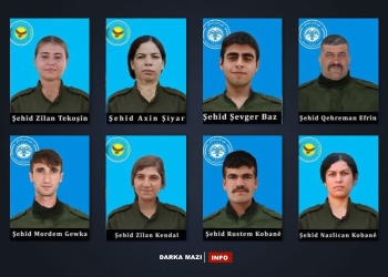 Shexmaqsud-8-shahid-info