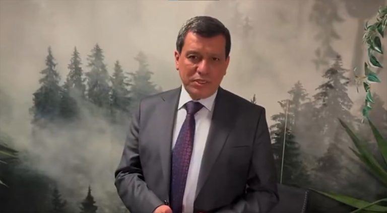 Mezlûm Ebdî: Rola Kurdên diyasporayê di rawestandina êrîşan de dîrokî bû