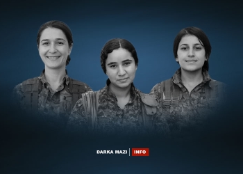 YPJ-3-Info