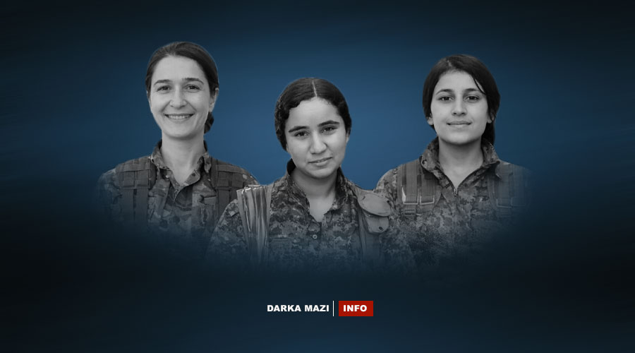 YPJ-3-Info
