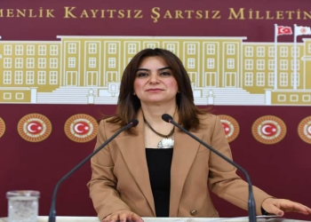 DEM Partî: Ji bo Pêvajoya Aştiyê pêdivî Bi nexşerêyeke qanûnî heye