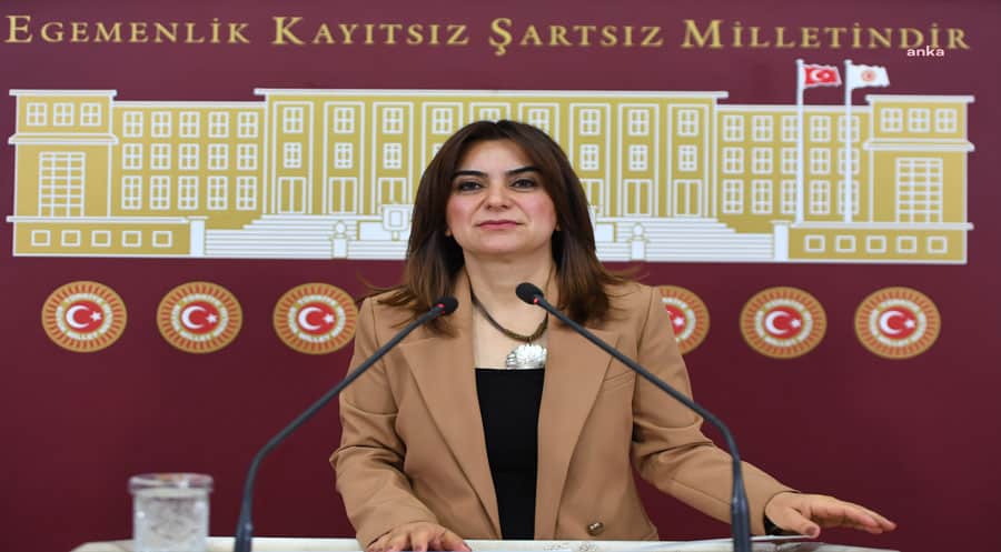 DEM Partî: Ji bo Pêvajoya Aştiyê pêdivî Bi nexşerêyeke qanûnî heye