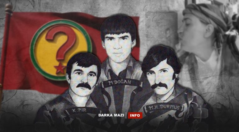 navê-pkk