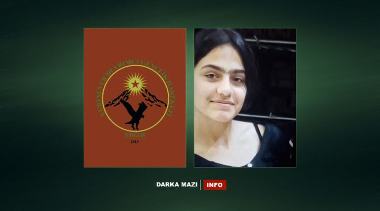 Li Hesekê keçeke 12 salî ji aliyê “Ciwanên Şoreşger” ve hat revandin