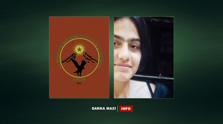 Li Hesekê keçeke 12 salî ji aliyê "Ciwanên Şoreşger" ve hat revandin