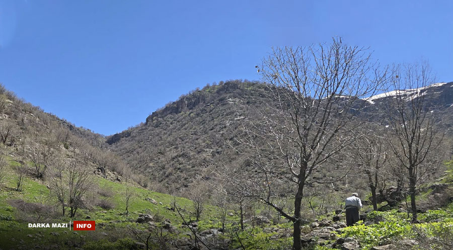 Derkar-info