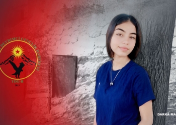 ciwan-shorashgar-info