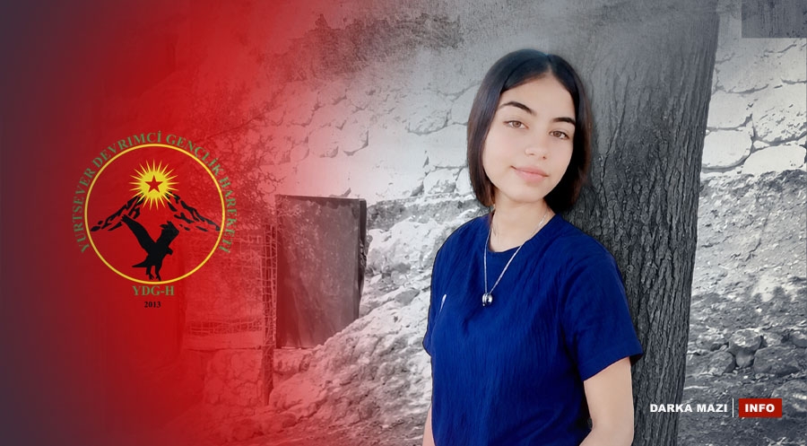 ciwan-shorashgar-info