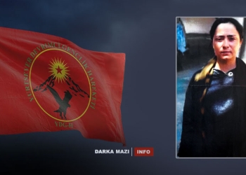Ciwanen-pkk-kobani-zeyneb-net