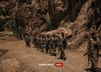 Yasa-PKK-Net