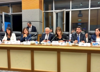 Endamên DEM Partiyê li TBMMê: Yasaya çarçoveyê gava yekem a demokrasiyê ye