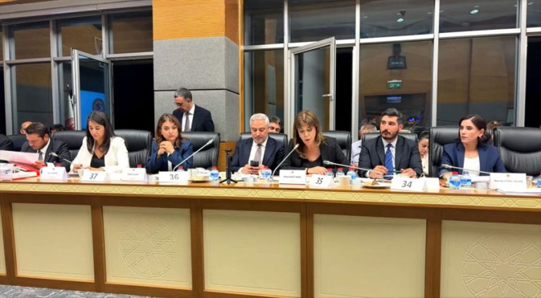 Endamên DEM Partiyê li TBMMê: Yasaya çarçoveyê gava yekem a demokrasiyê ye