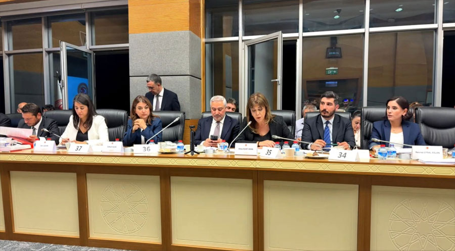 Endamên DEM Partiyê li TBMMê: Yasaya çarçoveyê gava yekem a demokrasiyê ye