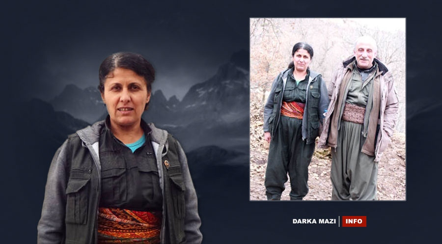 pkk-sinjar-fermandar-beritan-cele-net